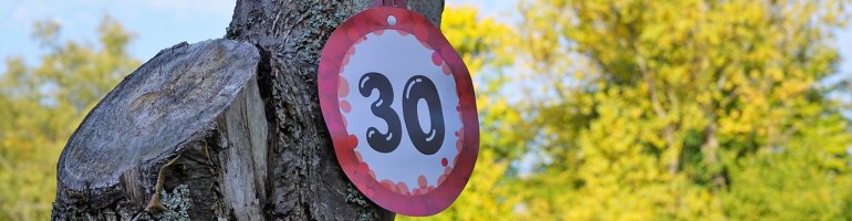 A picture of a tree with a circular piece of paper attached to it with a nail. The piece of paper has a border of red and orange and the number 30 written in the centre in black.